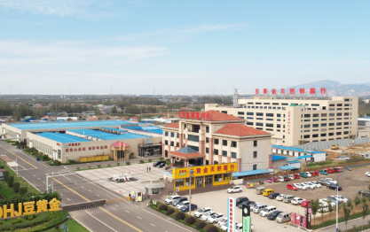 視覺(jué)升級(jí) | 聚焦0添加，豆黃金開(kāi)啟品牌煥新！